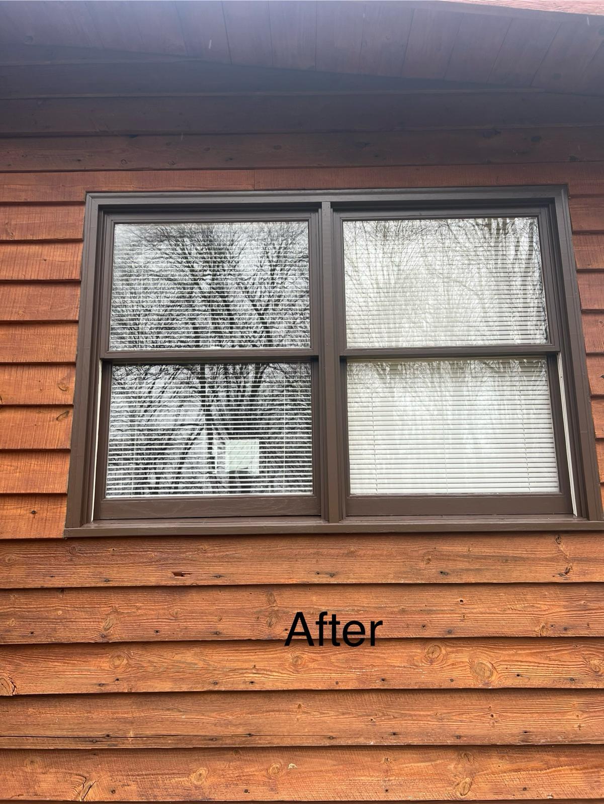 Proyecto de pintura 15